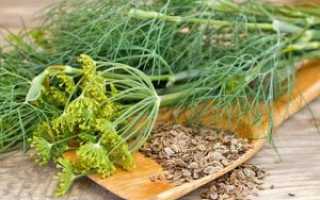 Семена и зелень укропа в меню беременной: полезно или опасно?