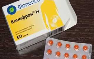 Канефрон при беременности: особенности приема драже и капель