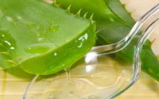 Можно ли капать каланхоэ грудничку