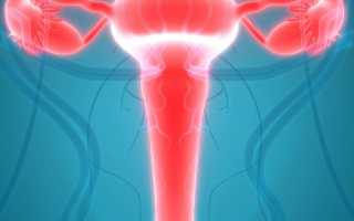 Рассказываем, можно ли забеременеть при эрозии шейки матки. Последствия эрозии