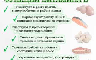 Витамины группы B: как маленькие молекулы делают большую работу