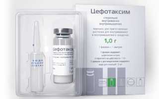 Какой вред может нанести Цефотаксим при беременности?
