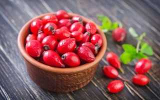 Польза, вред и особенности применения шиповника при беременности