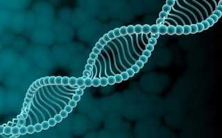 Будущее детей, появившихся от процедуры ЭКО: последствия для здоровья, страхи родителей, риски наследственного бесплодия