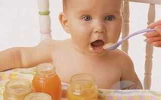 Как правильно вводить мясо грудничку