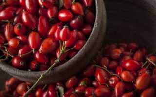 Отвар шиповника – природный витаминный комплекс при беременности