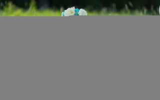 Двадцать вторая неделя беременности