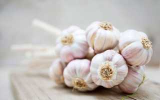 Можно ли беременным есть свежий чеснок и лук?