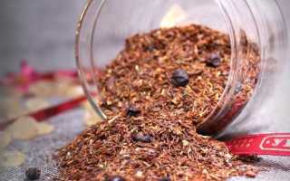 Ройбуш при беременности: польза и вред чая