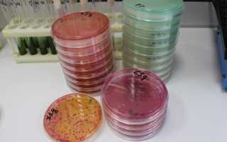 О чем свидетельствует свободный эстриол при беременности