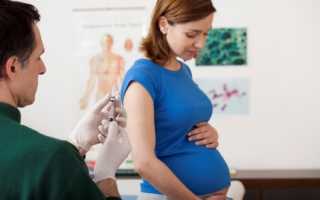 Прививки при планировании и во время беременности