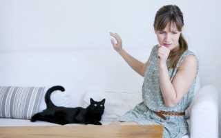 Беродуал для лечения бронхиальной астмы при беременности