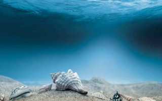 Аквамарис при беременности, разбираемся в разнообразии средств