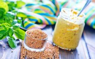 Горчица при беременности: безопасна ли жгучая приправа?