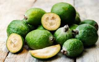 Чем полезны ягоды фейхоа для беременных?