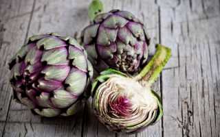 Артишок при беременности, вводим в рацион полезные цветочные бутоны