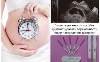 ХГЧ и его норма при беременности