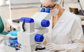 Норма лейкоцитов у ребенка