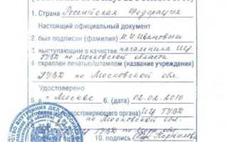 Апостиль на справку о несудимости: почему он нужен даже для «безвизовых» стран?