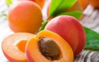 Можно ли абрикосы и абрикосовые косточки при беременности?