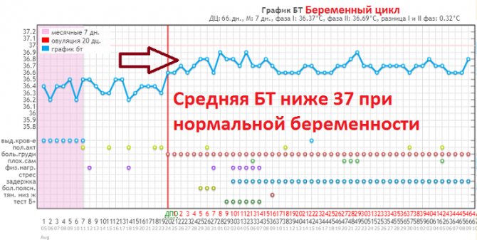 Беременный график БТ с маленькой разницей между фазами 0,32 градуса
