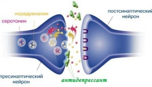 Действие антидепрессантов на организм