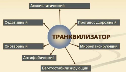 Действие транквилизаторов на организм