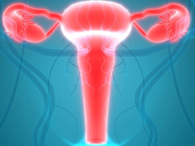 Можно ли забеременеть при эрозии шейки матки?