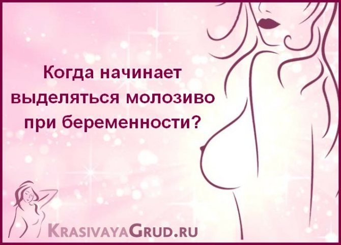 На каком сроке выделяется молозиво при беременности?