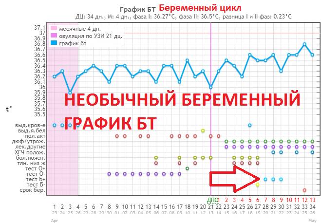 Необычный Беременный график БТ с маленькой разницей температур