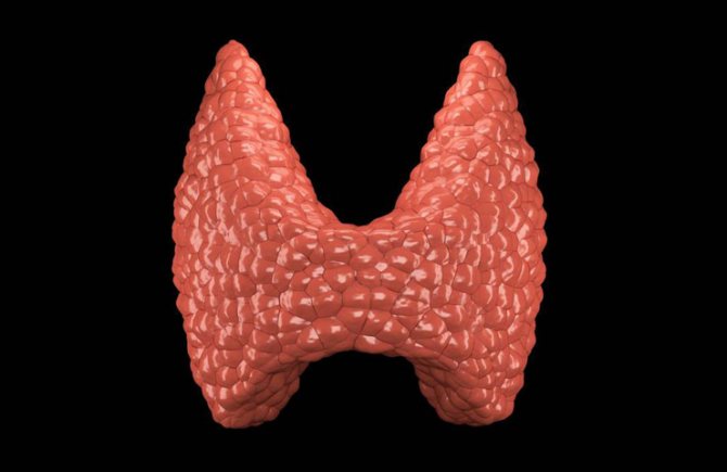 операция на щитовидке