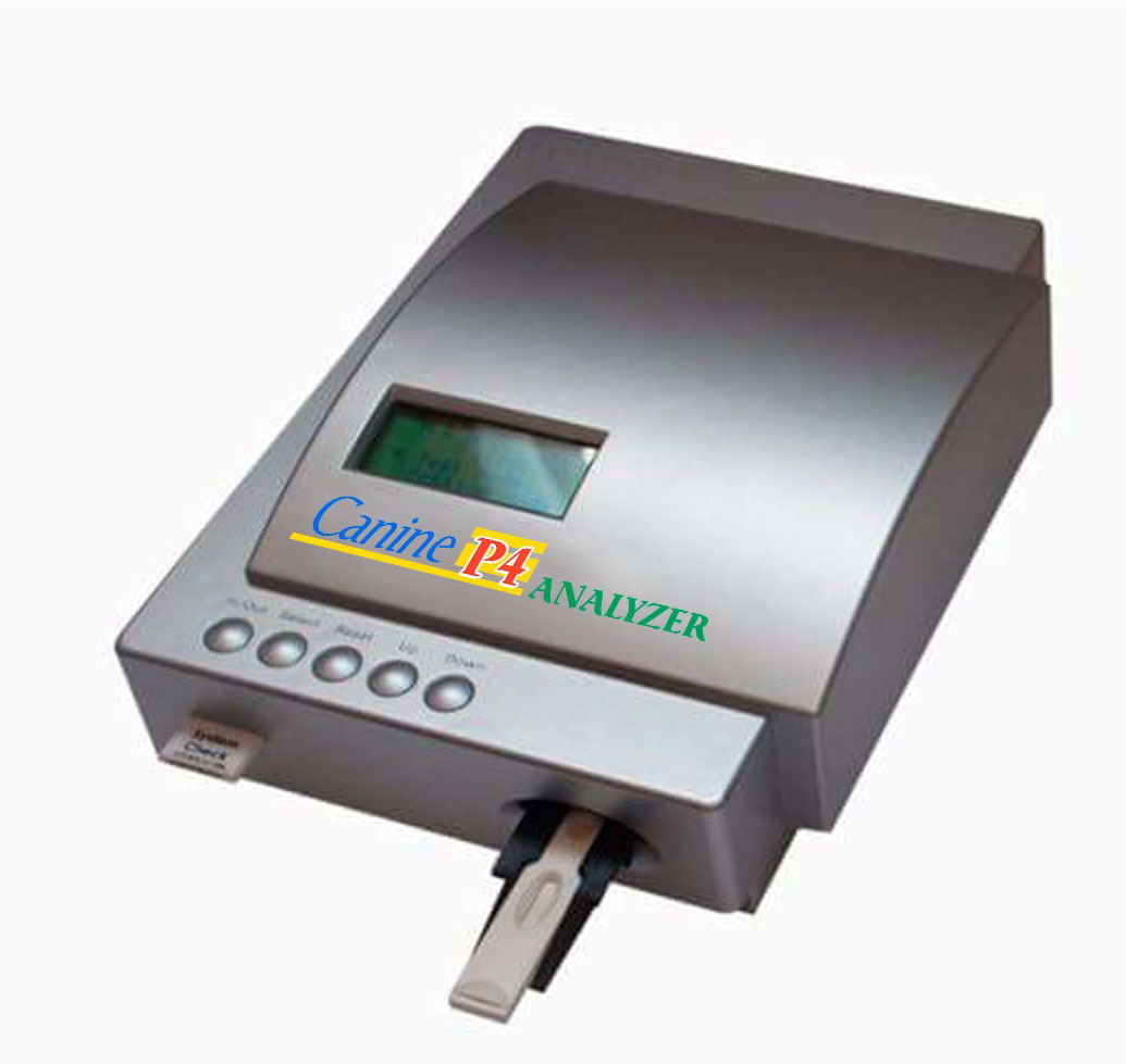 Прогестерон при беременности