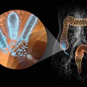 Восстановление микрофлоры - первостепенная задача Микрофлора под микроскопом