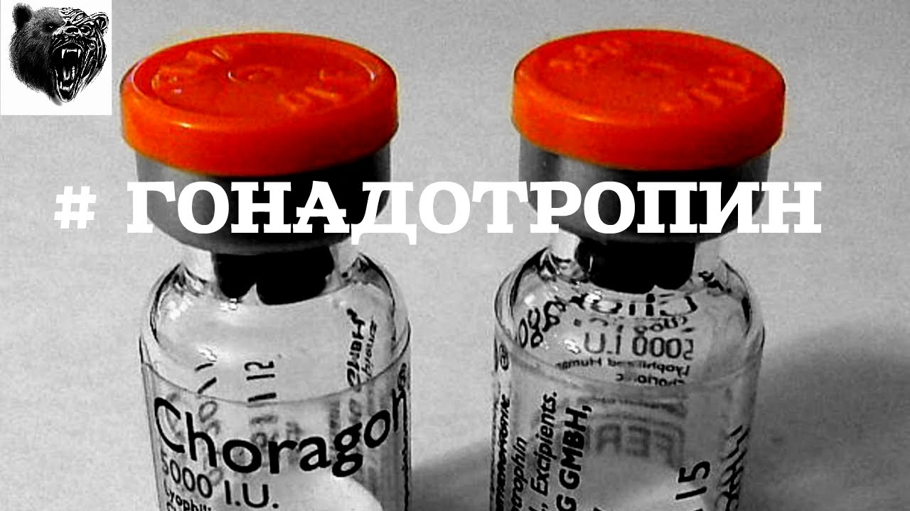 Гормон Хорионический гонадотропин при беременности