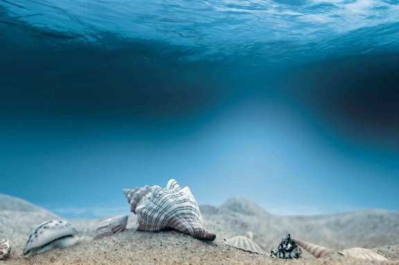 препараты Аквамарис