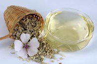 сироп Алтея беременным