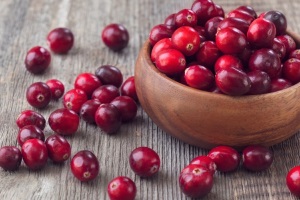 чем полезны ягоды брусники при беременности польза брусники для беременных