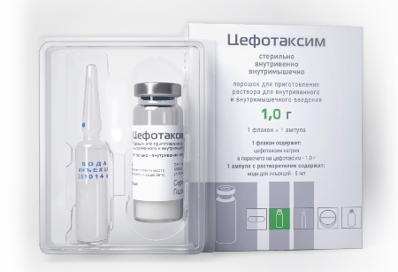 влияние Цефотаксима на плод