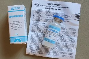 Цефтриаксон беременным