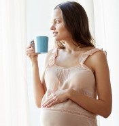 цикорий при беременности