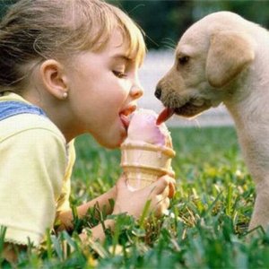 Причины заражения глистами