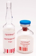 Гептрал беременным