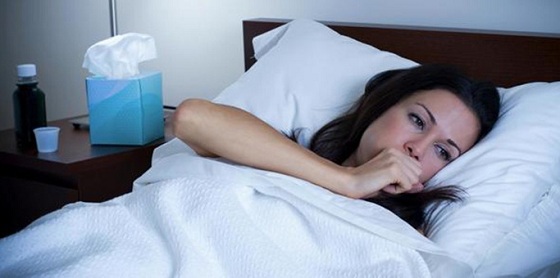 Гербион в 1 триместре