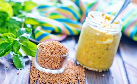 польза горчицы