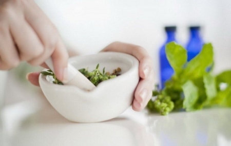 каланхоэ для беременных