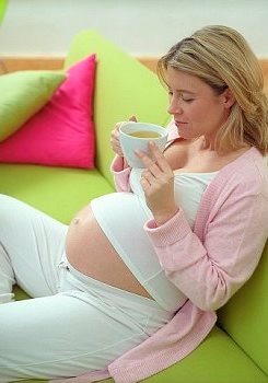 вред липы при беременности вред липового цвета