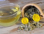 польза мать-и-мачехи