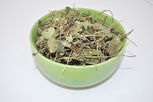 высушенное растение