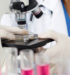 диагностика escherichia coli