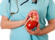 патологии почек